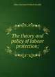 The theory and policy of labour protection;, Albert Eberhard Fridrich Schaffle 