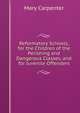 Reformatory Schools, for the Children of the Perishing and Dangerous Classes, and for Juvenile Offenders, Mary Carpenter 