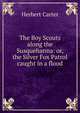 The Boy Scouts along the Susquehanna: or, the Silver Fox Patrol caught in a flood, Herbert Carter 