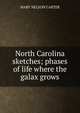 North Carolina sketches; phases of life where the galax grows, Mary Nelson Carter 