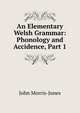 An Elementary Welsh Grammar: Phonology and Accidence, Part 1, John Morris-Jones 