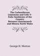 The Carboniferous Limestone and Cefn-Y-Fedw Sandstone of the Country Between Llanymynech and Minera North Wales, George H. Morton 