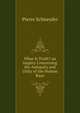 What Is Truth? an Inquiry Concerning the Antiquity and Unity of the Human Race, Pierre Schneyder 