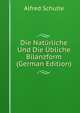 Die Naturliche Und Die Ubliche Bilanzform (German Edition), Alfred Schulte 