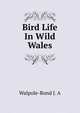 Bird Life In Wild Wales, Walpole-Bond J. A 