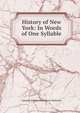 History of New York: In Words of One Syllable, Jeanette Ritchie Hadermann Walworth 