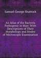 An Atlas of the Bacteria Pathogenic in Man: With Descriptions of Their Morphology and Modes of Microscopic Examination, Samuel George Shattock 
