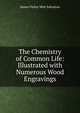 The Chemistry of Common Life: Illustrated with Numerous Wood Engravings, James Finlay Weir Johnston 