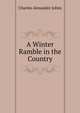 A Winter Ramble in the Country, Charles Alexander Johns 