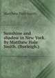 Sunshine and shadow in New York. By Matthew Hale Smith. (Burleigh.), Matthew Hale Smith 
