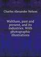 Waltham, past and present, and its industries. With photographic illustrations., Charles Alexander Nelson 