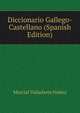 Diccionario Gallego-Castellano (Spanish Edition), Marcial Valladares Nunez 