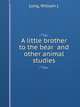 A little brother to the bear and other animal studies, Long, William J. 