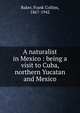 A naturalist in Mexico : being a visit to Cuba, northern Yucatan and Mexico, Baker, Frank Collins, 1867-1942 