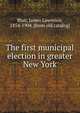 The first municipal election in greater New York, Blair, James Lawrence, 1854-1904. [from old catalog] 