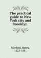 The practical guide to New York city and Brooklyn, Morford, Henry, 1823-1881 