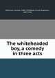 The whiteheaded boy, a comedy in three acts, Robinson, Lennox, 1886-1958,Boyd, Ernest Augustus, 1887-1946 