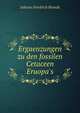 Ergaenzungen zu den fossilen Cetaceen Eruopa's, Johann Friedrich Brandt 