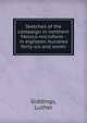 Sketches of the campaign in northern Mexico microform : in eighteen hundred forty-six and seven, Giddings, Luther 