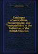 Catalogue of Auriculidae, Proserpinidae, and Truncatellidae in the Collection of the British Museum, British Museum (Natural History) Dept . of zoology, Ludwig Georg Karl P?eiffer 