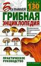 Большая грибная энциклопедия, Морозов А.И. 