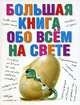 Большая книга обо всем на свете - (Энциклопедия для самых маленьких) [84х108/16], Екатерина Карганова, О. Ордынская, Марина В. Собе-Панек, Н. Сендерова 