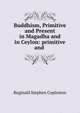Buddhism, Primitive and Present in Magadha and in Ceylon: primitive and ., Reginald Stephen Copleston 