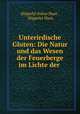 Unterirdische Gluten: Die Natur und das Wesen der Feuerberge im Lichte der ., Hippolyt Julius Haas , Hippolyt Haas 