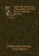 Under the African Sun: A Description of Native Races in Uganda, Sporting ., William John Ansorge , Ernst Hartert 