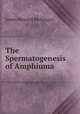 The Spermatogenesis of Amphiuma ., James Howard McGregor 