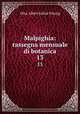 Malpighia: rassegna mensuale di botanica. 13, Otta Albert Julius Penzig 