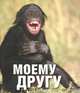 Моему другу, Е. Рудакова 