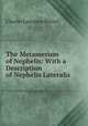 The Metamerism of Nephelis: With a Description of Nephelis Lateralis ., Charles Lawrence Bristol 