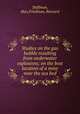 Studies on the gas bubble resulting from underwater explosions; on the best location of a mine near the sea bed, Shiffman, Max,Friedman, Bernard 