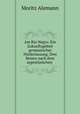 Am Rio Negro: Ein Zukunftsgebiet germanischer Niederlassung. Drei Reisen nach dem argentinischen ., Moritz Alemann 