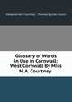 Glossary of Words in Use in Cornwall: West Cornwall By Miss M.A. Courtney ., Margaret Ann Courtney , Thomas Quiller Couch 