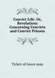 Convict Life: Or, Revelations Concerning Convicts and Convict Prisons, Ticket-of-leave man 
