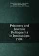 Prisoners and Juvenile Delinquents in Institutions 1904 ., Roland Post Falkner , John Koren, William Alexander King, United States Bureau of the Census 