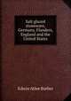 Salt glazed stoneware, Germany, Flanders, England and the United States, Edwin Atlee Barber 