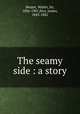 The seamy side : a story, Besant, Walter, Sir, 1836-1901,Rice, James, 1843-1882 