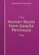 Human Skulls from Gazelle Peninsula, George Grant MacCurdy 