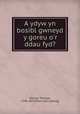 A ydyw yn bosibl gwneyd y goreu o