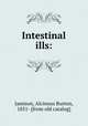Intestinal ills:, Jamison, Alcinous Burton, 1851- [from old catalog] 