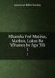 Mbamba Foe Mateus, Markus, Lukas Ba Yohanes be nga Tili, American Bible Society 