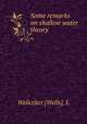 Some remarks on shallow water theory, Weliczker [Wells], L 