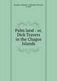 Palm land : or, Dick Travers in the Chagos Islands, Samuels, Adelaide F. (Adelaide Florence), b. 1845 