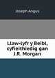 Llaw-lyfr y Beibl, cyfieithiedig gan J.R. Morgan, Joseph Angus 