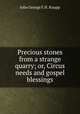 Precious stones from a strange quarry; or, Circus needs and gospel blessings, John George F. H. Knapp 