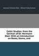 Celtic Studies: from the German of Dr. Hermann Ebel: With an Introduction on Roots, Stems, and ., Hermann Wilhelm Ebel , William Kirby Sullivan 