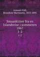 Smaaskizzer fra en Islandreise i sommeren 1867. 1-2, Arnesen Kall, Benedicte Martinette, 1813-1895 